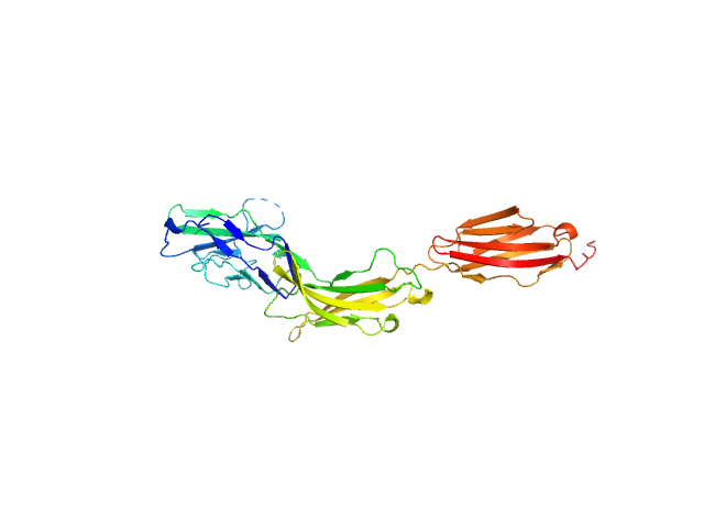 Myelin-associated glycoprotein Ig domains 1-3 PDB (PROTEIN DATA BANK) model