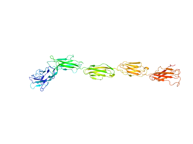 Myelin-associated glycoprotein Ig domains 1-5 NONE model