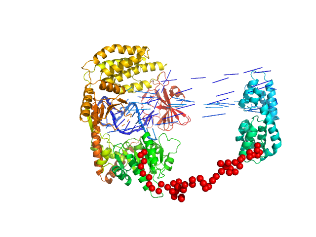 Probable ATP-dependent RNA helicase DDX58 5´ppp 10mer hairpin dsRNA EOM/RANCH model