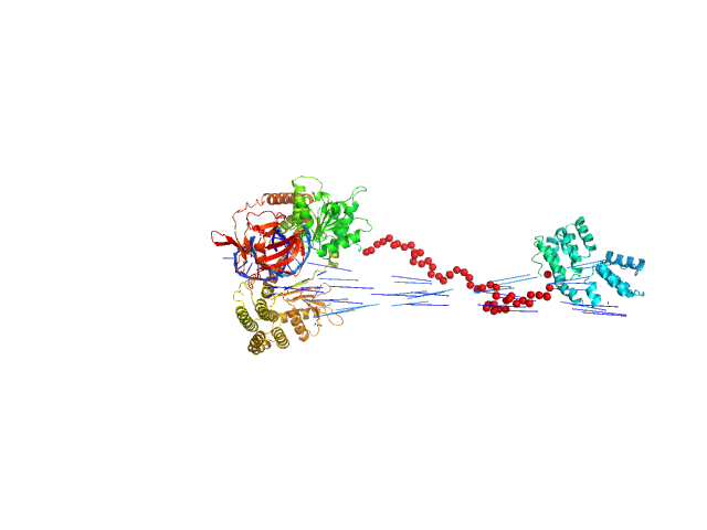 Probable ATP-dependent RNA helicase DDX58 5´ppp 10mer hairpin dsRNA EOM/RANCH model