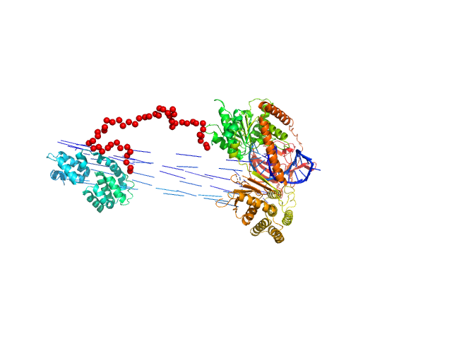 Probable ATP-dependent RNA helicase DDX58 5´ppp 10mer hairpin dsRNA EOM/RANCH model