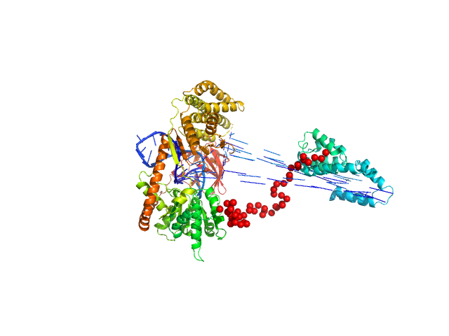 Probable ATP-dependent RNA helicase DDX58 5´ppp 10mer hairpin dsRNA EOM/RANCH model