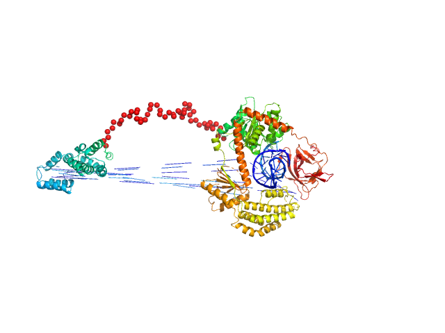 Probable ATP-dependent RNA helicase DDX58 5´ppp 10mer hairpin dsRNA EOM/RANCH model