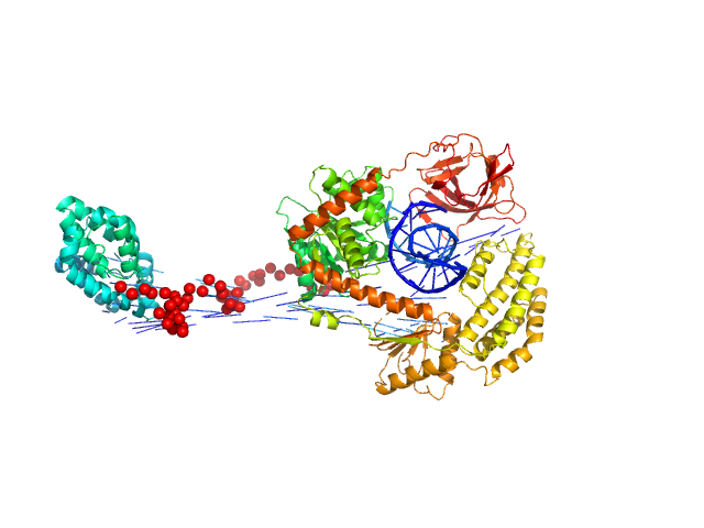 Probable ATP-dependent RNA helicase DDX58 5´ppp 10mer hairpin dsRNA EOM/RANCH model