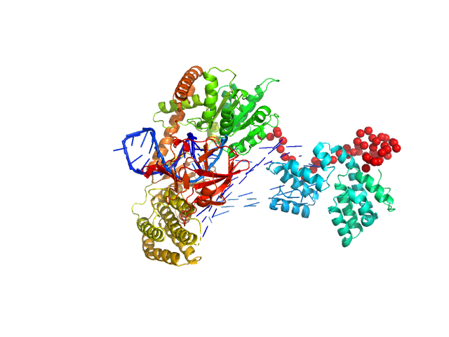 Probable ATP-dependent RNA helicase DDX58 5´ppp 10mer hairpin dsRNA EOM/RANCH model