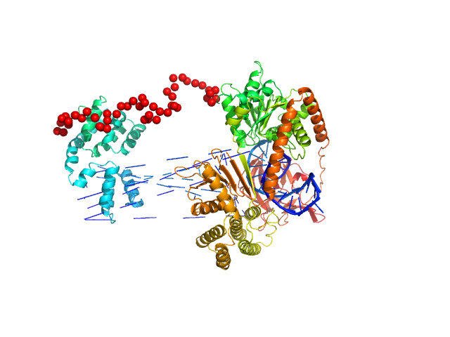 Probable ATP-dependent RNA helicase DDX58 5´ppp 10mer hairpin dsRNA EOM/RANCH model