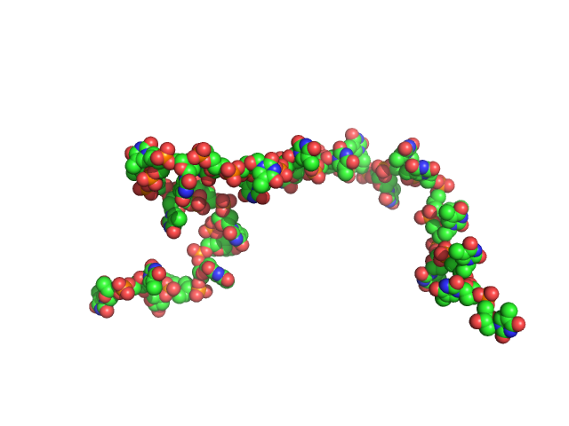 Poly-deoxythymidine (30mer) CUSTOM IN-HOUSE model