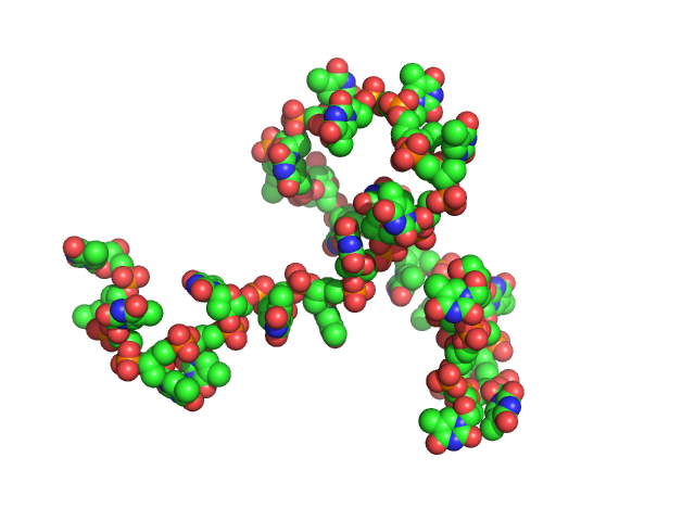 Poly-deoxythymidine (30mer) CUSTOM IN-HOUSE model