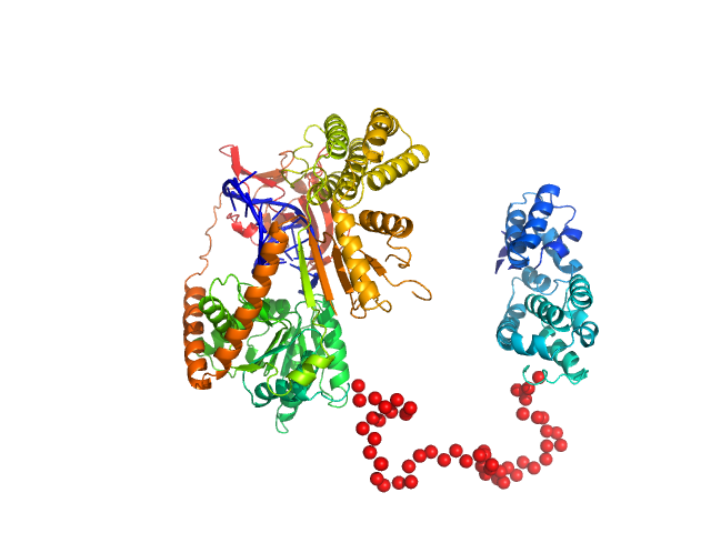 Probable ATP-dependent RNA helicase DDX58 5´ppp 8mer hairpin dsRNA EOM/RANCH model