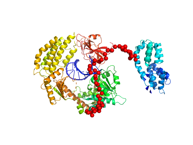 Probable ATP-dependent RNA helicase DDX58 5´ppp 8mer hairpin dsRNA EOM/RANCH model