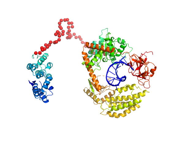 Probable ATP-dependent RNA helicase DDX58 5´ppp 8mer hairpin dsRNA EOM/RANCH model