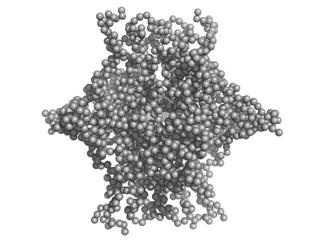 N-terminal truncated DNA protection during starvation protein 2 GASBOR model