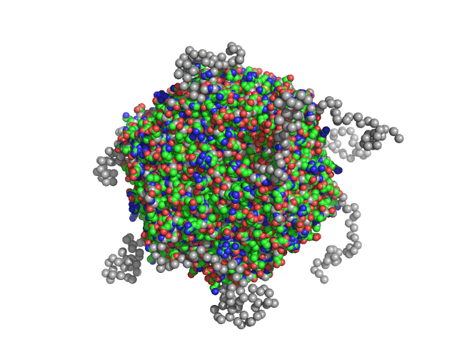 DNA protection during starvation protein 1 EOM/RANCH model