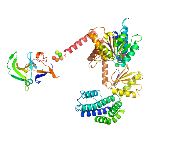 Probable ATP-dependent RNA helicase DDX58 (without CARDs) BUNCH model
