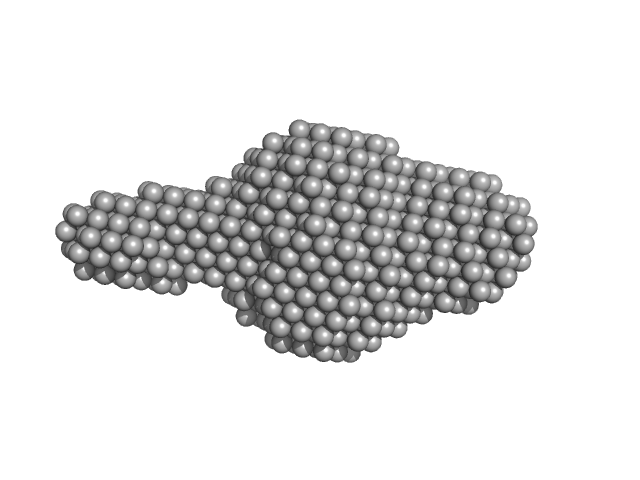 Probable ATP-dependent RNA helicase DDX58 (without CARDs) DAMMIF model