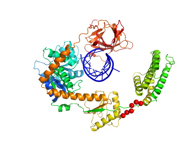 Probable ATP-dependent RNA helicase DDX58 (without CARDs) 5´ppp 8mer hairpin dsRNA EOM/RANCH model