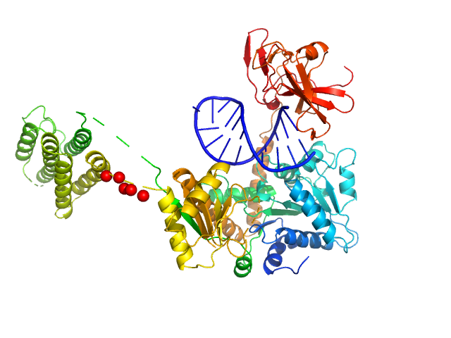Probable ATP-dependent RNA helicase DDX58 (without CARDs) 5´ppp 8mer hairpin dsRNA EOM/RANCH model
