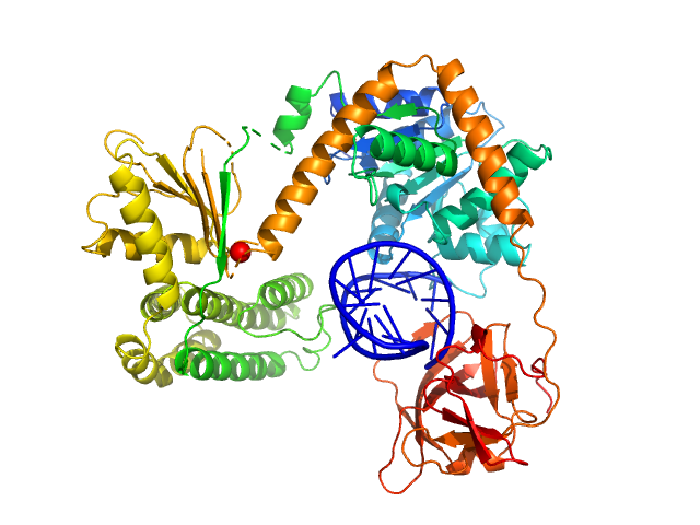 Probable ATP-dependent RNA helicase DDX58 (without CARDs) 5´ppp 8mer hairpin dsRNA EOM/RANCH model