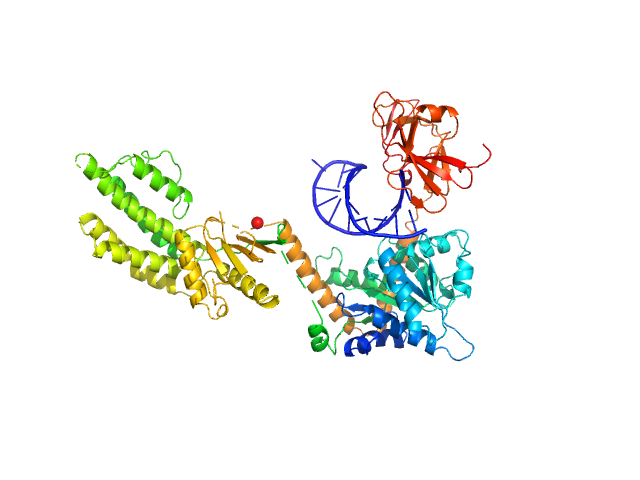 Probable ATP-dependent RNA helicase DDX58 (without CARDs) 5´ppp 8mer hairpin dsRNA EOM/RANCH model