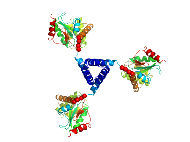 Suppressor of Copper Sensitivity C protein (mutant) EOM/RANCH model