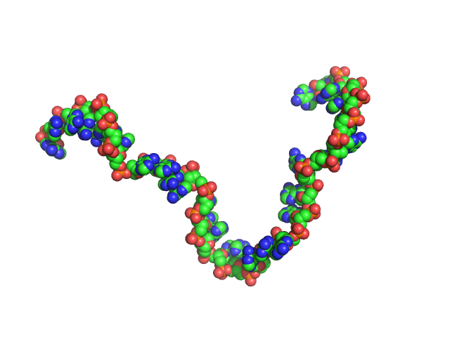 Poly-deoxyadenosine (30mer) CUSTOM IN-HOUSE model