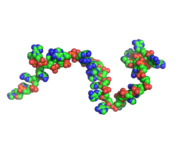 Poly-deoxyadenosine (30mer) CUSTOM IN-HOUSE model