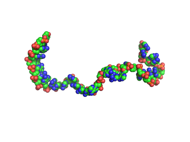 Poly-deoxyadenosine (30mer) CUSTOM IN-HOUSE model