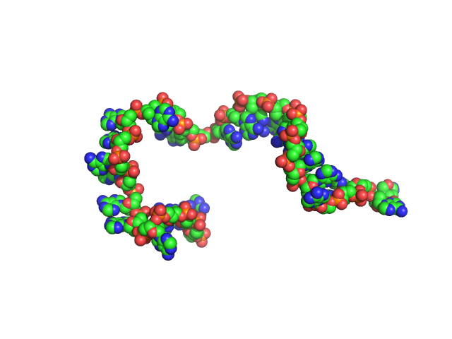 Poly-deoxyadenosine (30mer) CUSTOM IN-HOUSE model