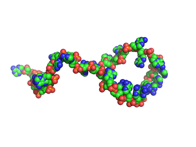 Poly-deoxyadenosine (30mer) CUSTOM IN-HOUSE model