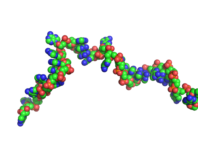 Poly-deoxyadenosine (30mer) CUSTOM IN-HOUSE model