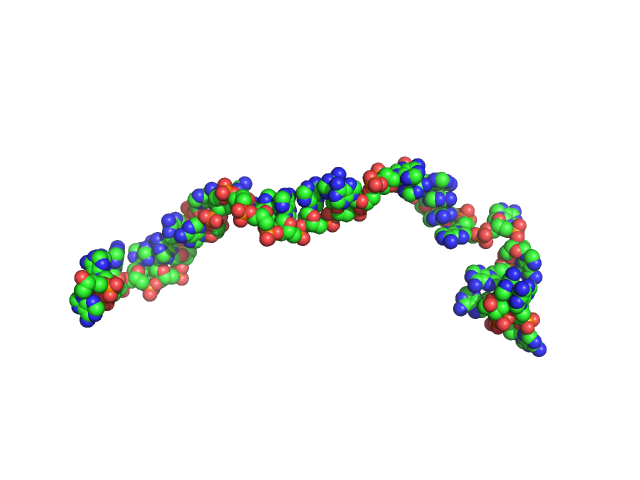 Poly-deoxyadenosine (30mer) CUSTOM IN-HOUSE model