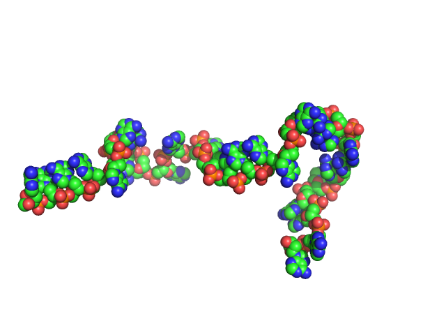 Poly-deoxyadenosine (30mer) CUSTOM IN-HOUSE model