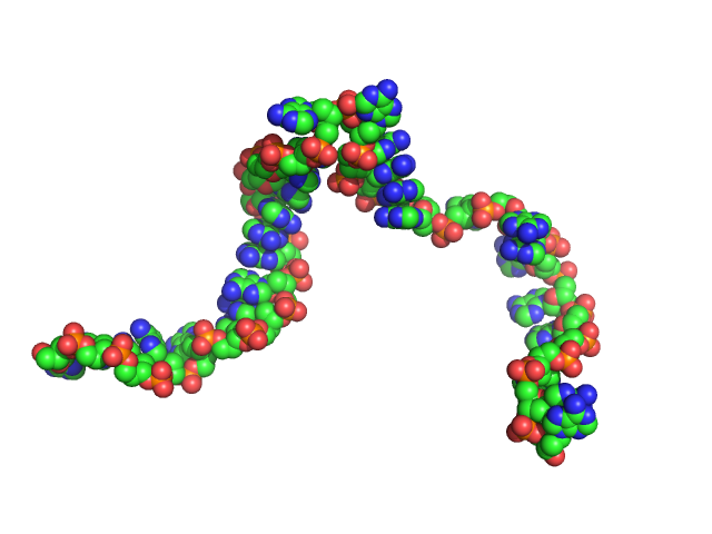 Poly-deoxyadenosine (30mer) CUSTOM IN-HOUSE model