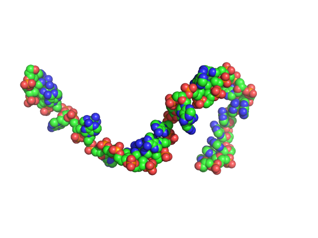 Poly-deoxyadenosine (30mer) CUSTOM IN-HOUSE model