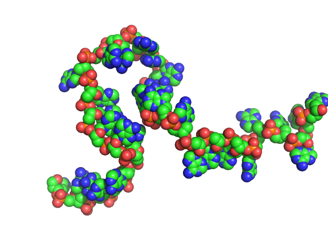 Poly-deoxyadenosine (30mer) CUSTOM IN-HOUSE model