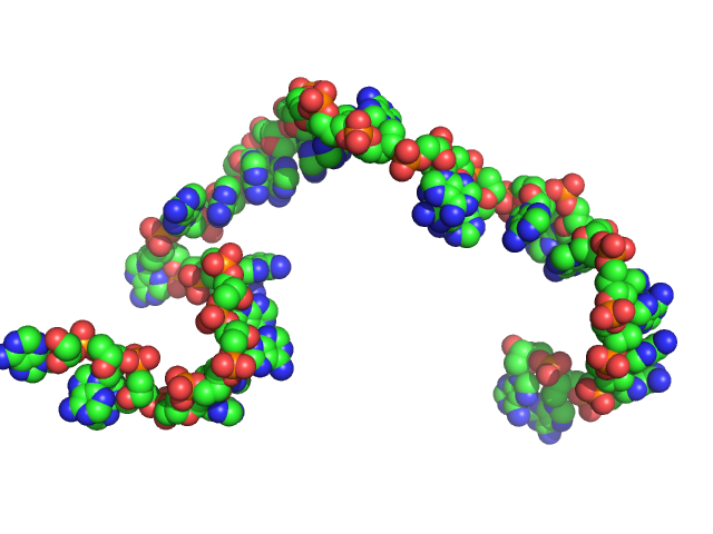 Poly-deoxyadenosine (30mer) CUSTOM IN-HOUSE model