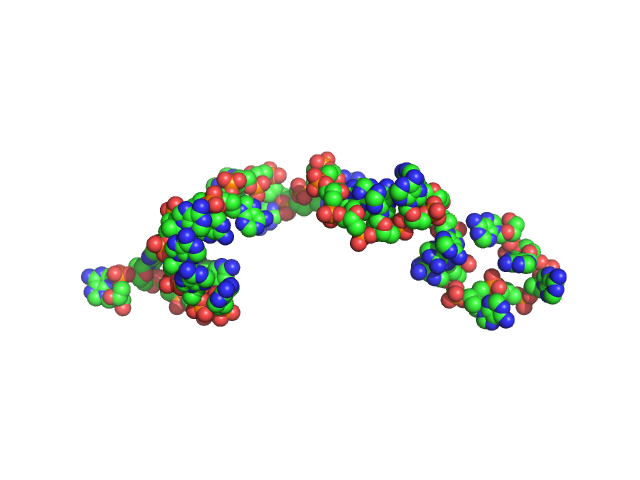 Poly-deoxyadenosine (30mer) CUSTOM IN-HOUSE model