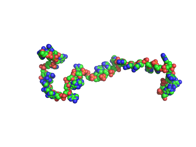 Poly-deoxyadenosine (30mer) CUSTOM IN-HOUSE model