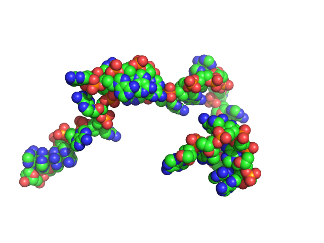 Poly-deoxyadenosine (30mer) CUSTOM IN-HOUSE model