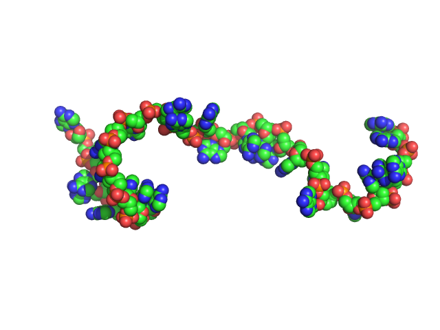 Poly-deoxyadenosine (30mer) CUSTOM IN-HOUSE model