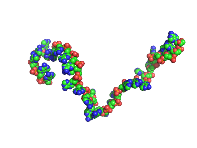 Poly-deoxyadenosine (30mer) CUSTOM IN-HOUSE model