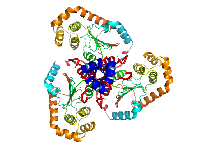 DsbA-like disulfide oxidoreductase (thiol-disulfide exchange protein) CORAL model