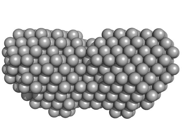 Bifunctional protein PutA DAMFILT model