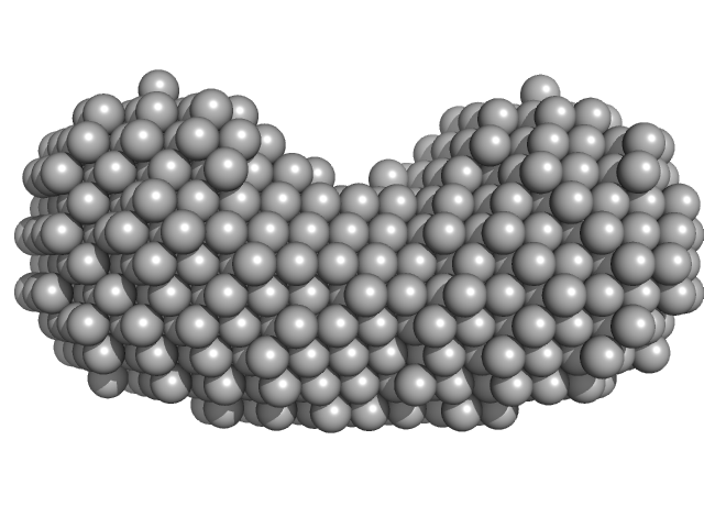 Bifunctional protein PutA DAMFILT model