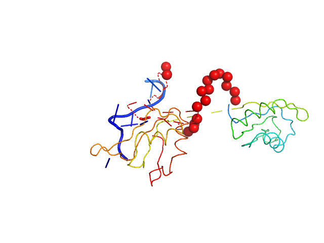 Protein sex-lethal mutant RNA decaneucleotide UGU8 EOM/RANCH model