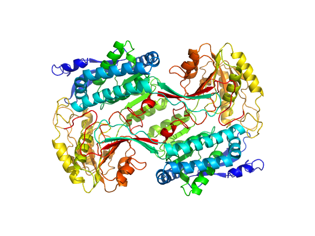 Alpha-aminoadipic semialdehyde dehydrogenase PDB (PROTEIN DATA BANK) model