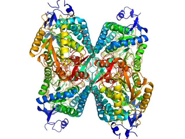 Alpha-aminoadipic semialdehyde dehydrogenase PDB (PROTEIN DATA BANK) model