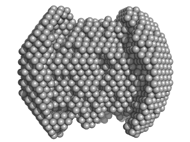 NADPH-dependent FMN reductase DAMMIN model