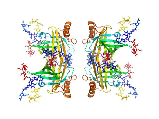 Apolipoprotein D SASREF CV model