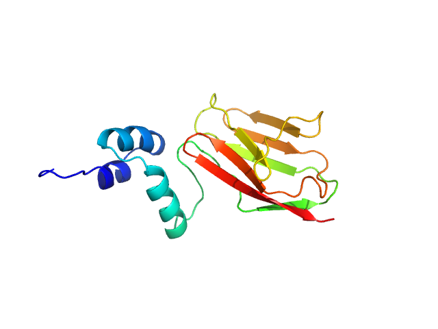 cardiac myosin binding protein C: tri-helix bundle-C2 MULTIFOXS model